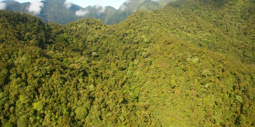 The best time to visit New Guinea Island is during the dry season, May to September, to enjoy outdoor activities.