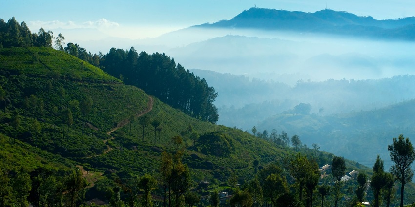 An image of the Mountains of Nuwara Eliya, one of the tourist attractions in Sri Lanka.