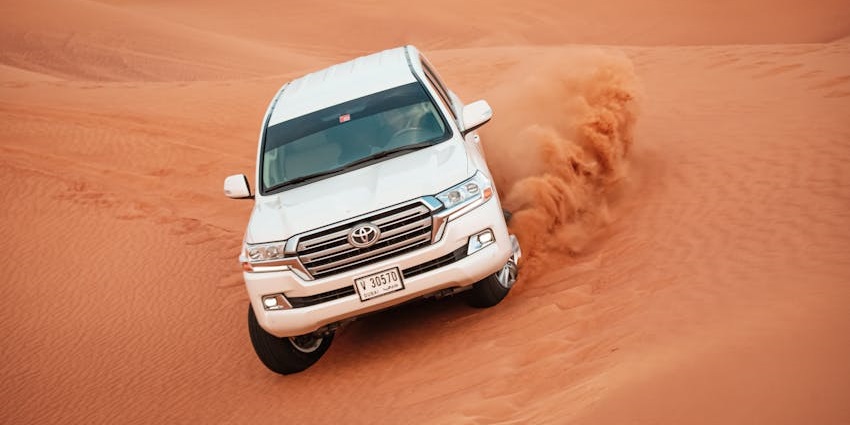 The best time to experience a night safari is in Dubai, where temperatures are cool