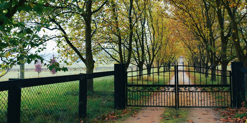 Picturesque view of the lush park around the Handara gate, ideal spot for picnic
