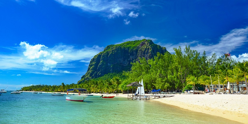An image of a serene tropical beach with blue water, white sand, and palm trees, resembling the Rose Hill Mauritius.