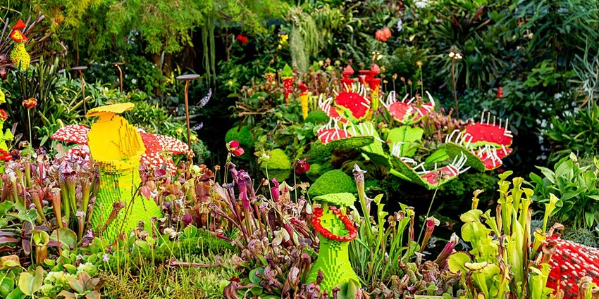 Pretty floral art, also known as LEGO Art, displayed at Gardens By The Bay