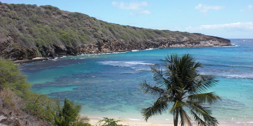 Image of the crystal-clear waters of Hanauma Bay, surrounded by lush landscapes.