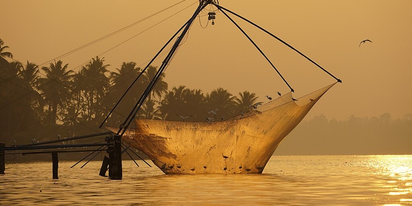 A stunning sunset view at one of the Lakes in Kerala with golden hues reflecting on the water.