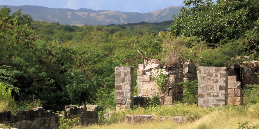 An image of Betty's Hope Sugar Plantation in Antigua, showcasing historic windmills and colonial ruins.
