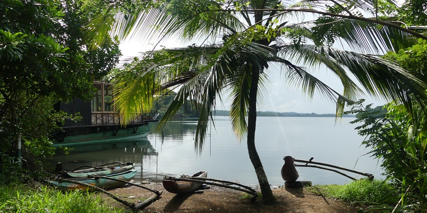 Birdwatching at the Koggala Lake, one of the best things to do in Koggala, Sri Lanka