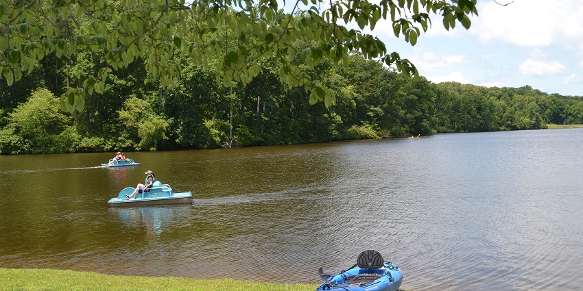 People paddle boating in the gentle waters of a lake and an empty paddle boat on the shore