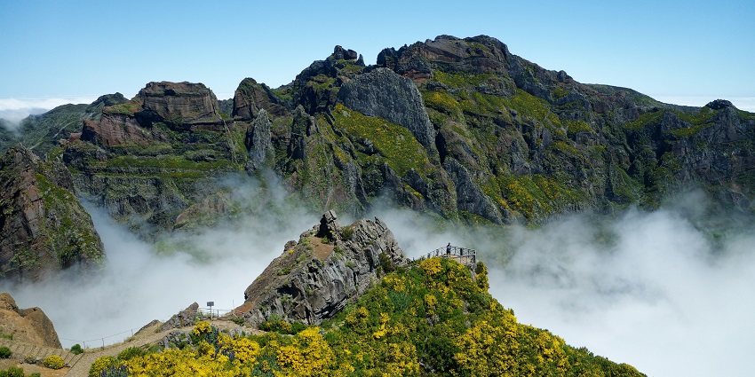 Scenic view of the Bomber’s Viewpoint surrounded by lush greenery in broad daylight.