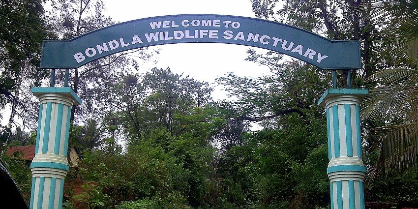 Image of the Bondla Wildlife Sanctuary, part of Goa wildlife sanctuaries and national parks