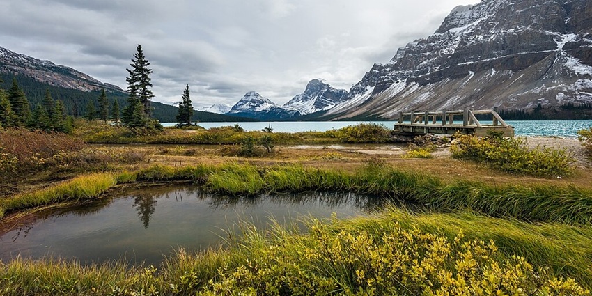 Bow Lake with a small wooden pool in the foreground, surrounded by wind-blown grasses