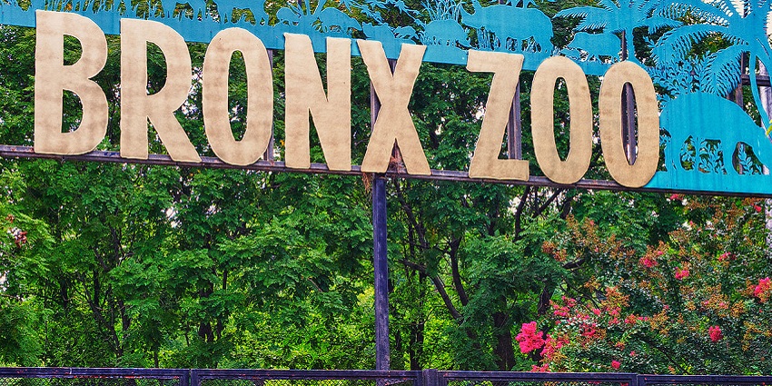 The iconic Bronx Zoo sign welcomes visitors to one of the top zoos in the world.