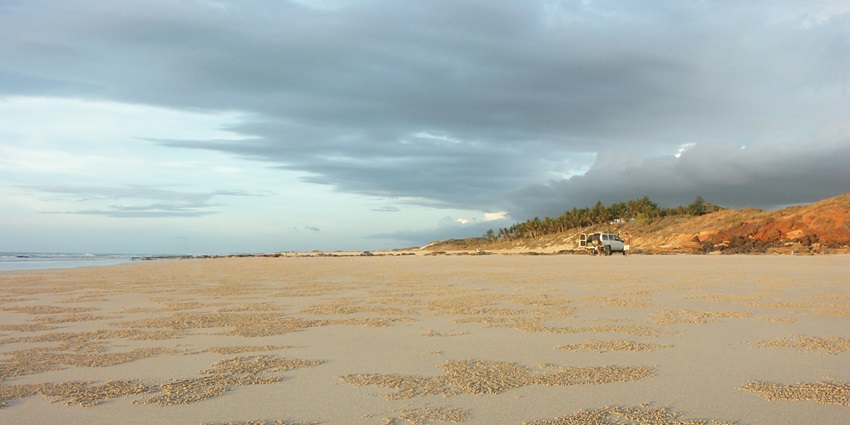 An enchanting view featuring sprawling golden shorelines and lush green palm trees.
