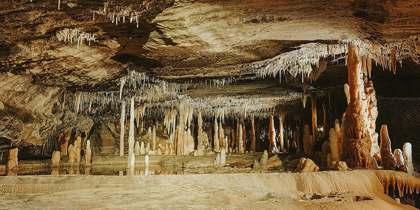 Buchan Caves with stalactites and stalagmites, showing the cave's natural beauty