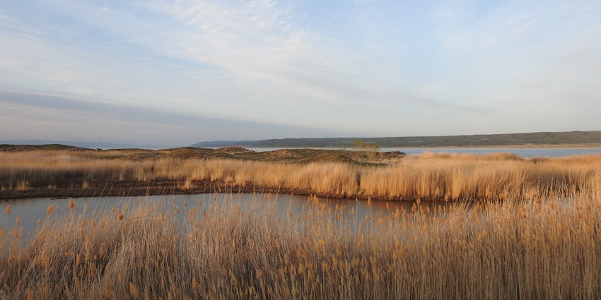Bukhtarma Reservoir, with its scenic beauty, provides an ideal destination for relaxation.