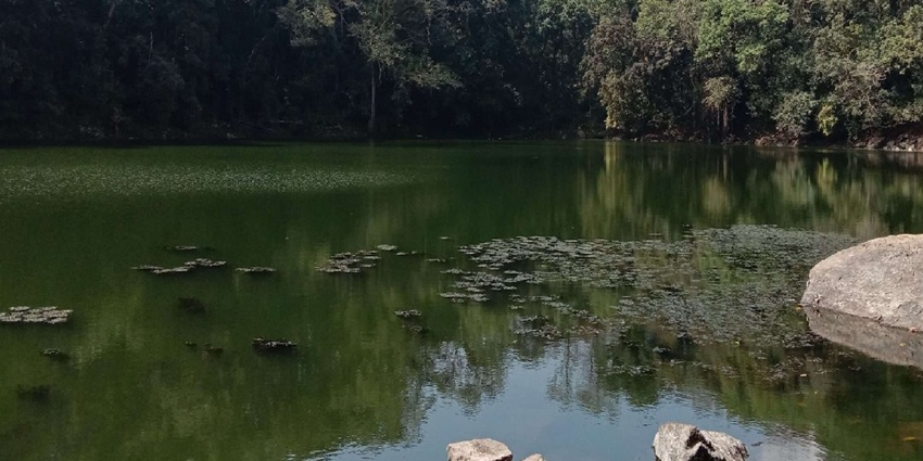 Serene Buli Tsho Lake with clear waters, floating algae, and scattered stones along the shore