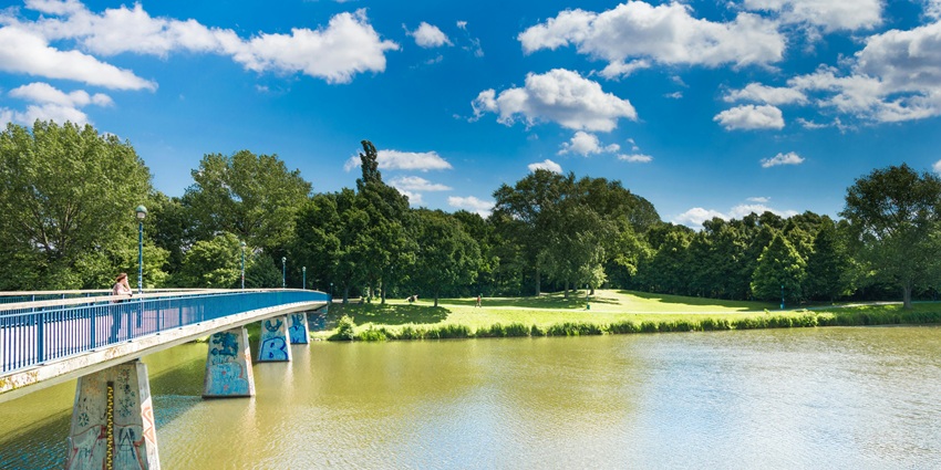 An image of Butler Lake surrounded by greenery in the Butler Colony of Lucknow.