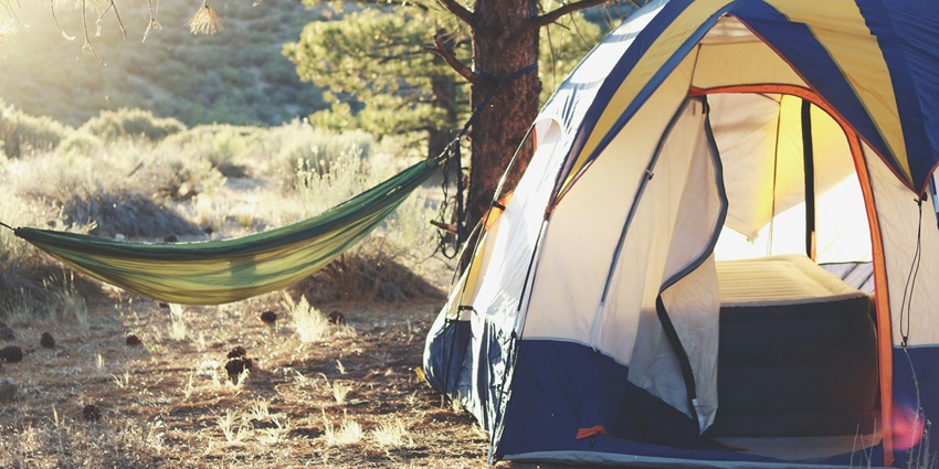 A glimpse of a tranquil retreat being stretched amidst a forest for a serene escapade.