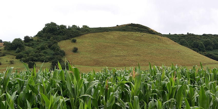 Cadbury Castle, linked to King Arthur, is among the most legendary hill forts to explore!