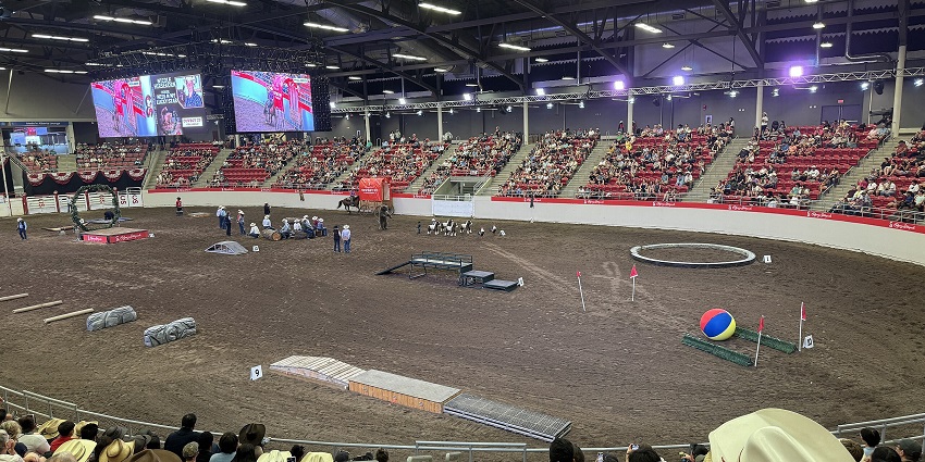 Festivals in July at Calgary Stampede deliver wild rodeo rides and festive extravaganza.