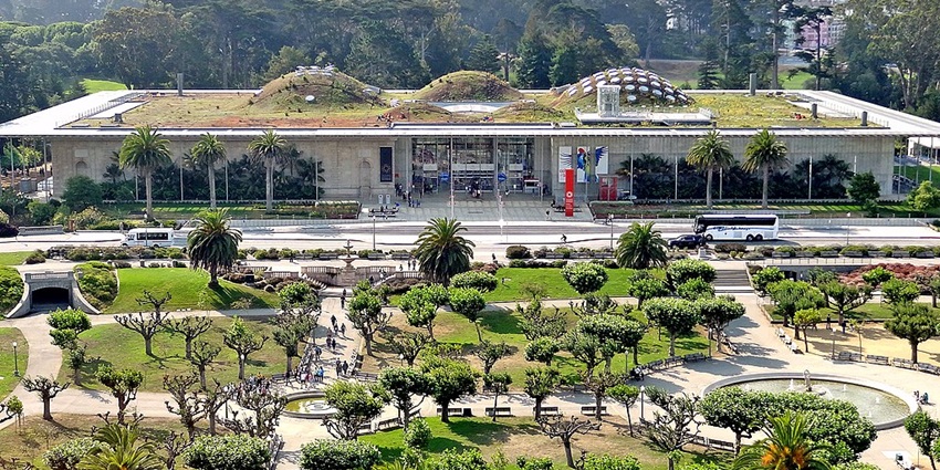 Experience live insect displays at the California Academy of Sciences in San Francisco