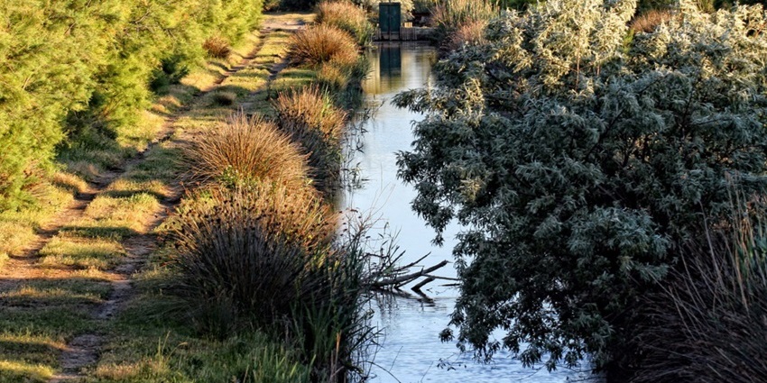 A stunning reserve featuring lush greenery, wild horses, and saltwater lagoons.