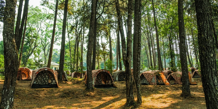 Camp at Ko Chang’s scenic sites, surrounded by lush greenery and soothing waterfalls