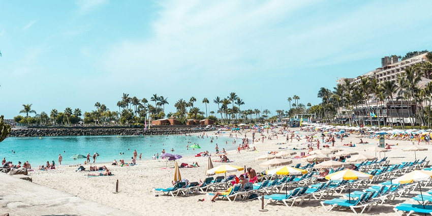 Explore the volcanic landscapes, sandy beaches, and lush forests of the Canary Islands.