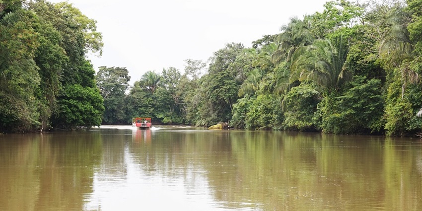 A tropical wetland paradise with caimans, storks, and rich biodiversity.