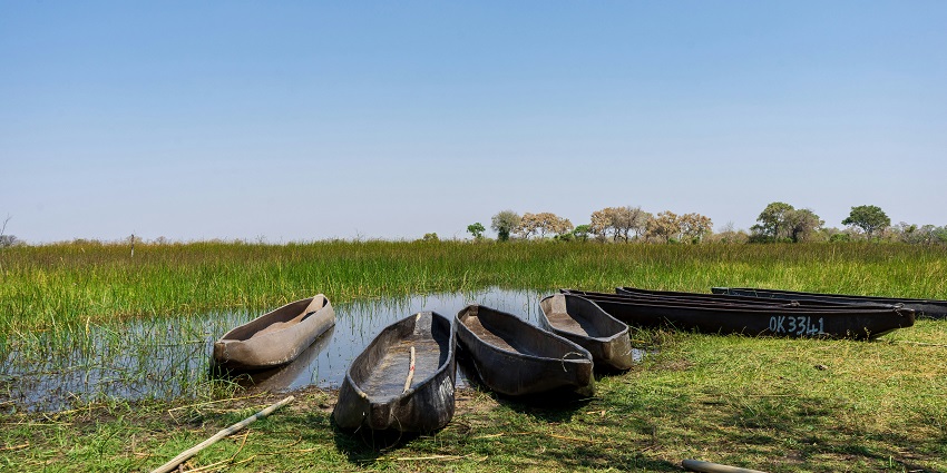Image of group of tires near water body for canoe safari in a national park