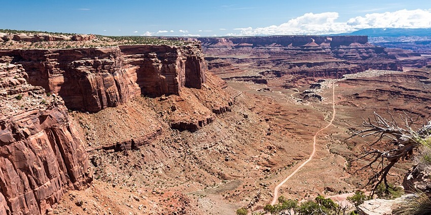 Overlooking Canyonlands National Park in a vast desert landscape with red rock formations.