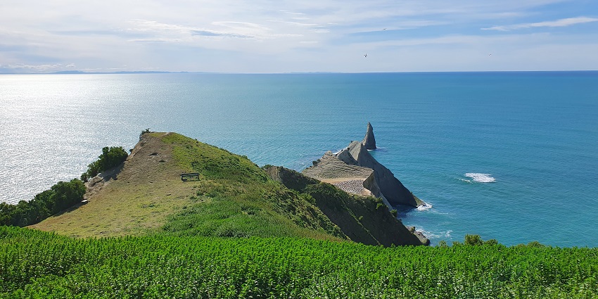 Cape Kidnappers with grassy hills by the ocean and blue skies, one of the great places to visit in Napier.