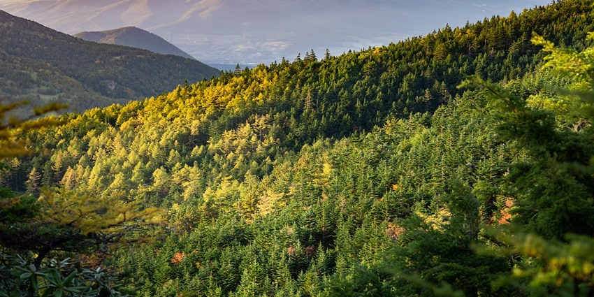 Majestic mountains wrapped in greenery creating a nature’s masterpiece