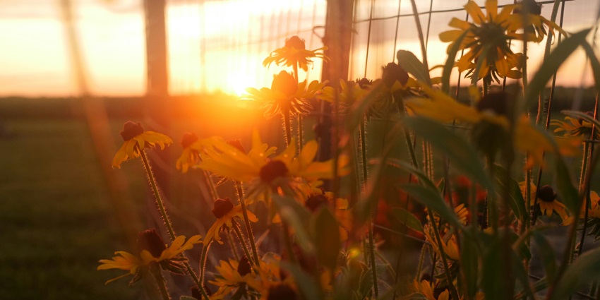 The Garden of Dreams in Kathmandu, Nepal glows at sunset with warm hues and soft lighting.
