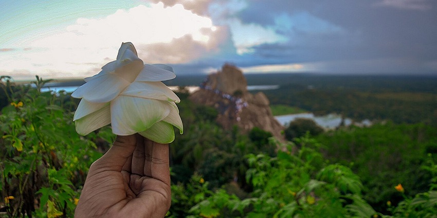 Hand holding a white lotus flower with Mihintale Sunset and lush greenery in view