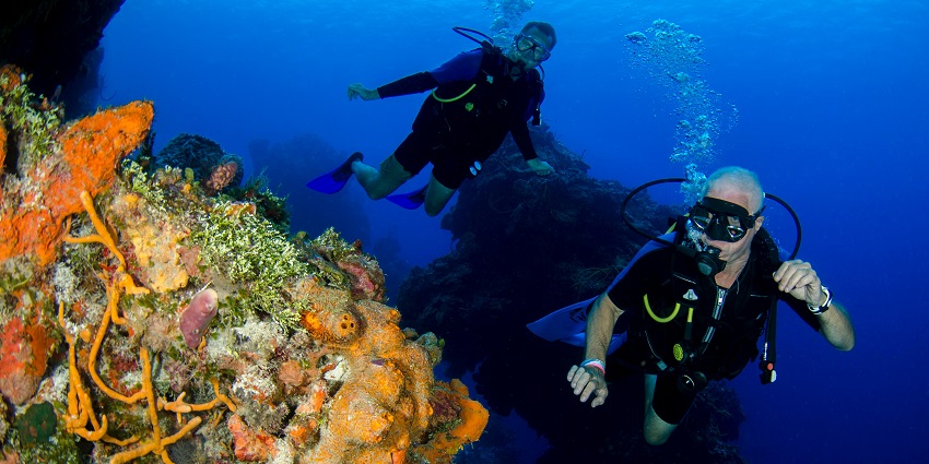 Picturesque and alluring view of the underwater in the Cargo Wreck