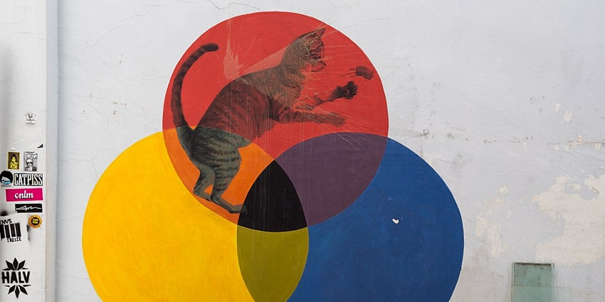 A bold 3D Penang mural promoting animal welfare through striking street art.