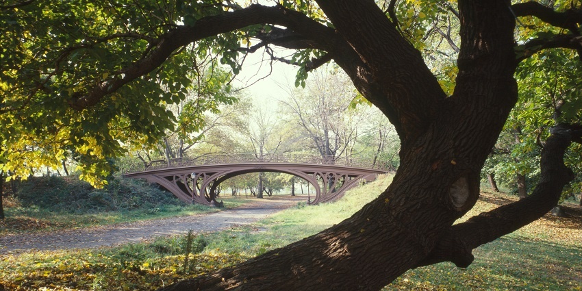 An image of Central Park, a popular place to visit in New York, showcases greenery and a city skyline.