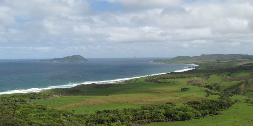 The Chatham Islands showcases dramatic landscapes, rare birds and Moriori culture.