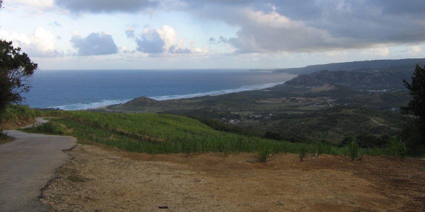An image of the scenic landscape view from Cherry Tree Hill with panoramic views of Barbados.