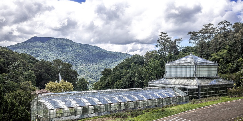 The Chiang Mai Forestry Museum showcases Thailand’s tropical forests and conservation efforts.