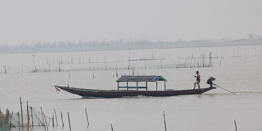An image of fishing boats on Chilika Lake, a famous fresh water lake, during daytime.