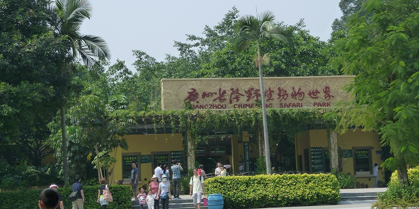 Discover giant pandas, safari tours, and vast enclosures in one of largest zoos in Asia.