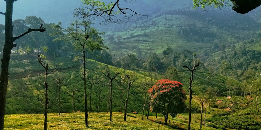 An image showing hills and countryside landscapes similar to Chitteri Hills, Tamil Nadu.