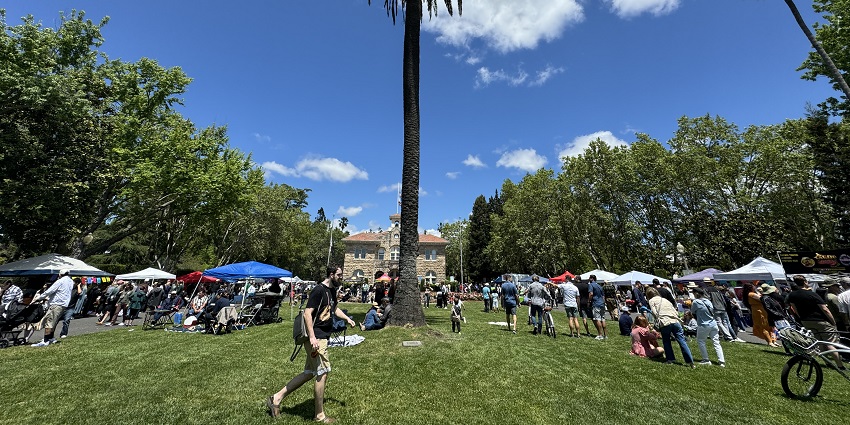 Attendees of Cinco de Mayo festival in May exploring the stalls put up on the premises.