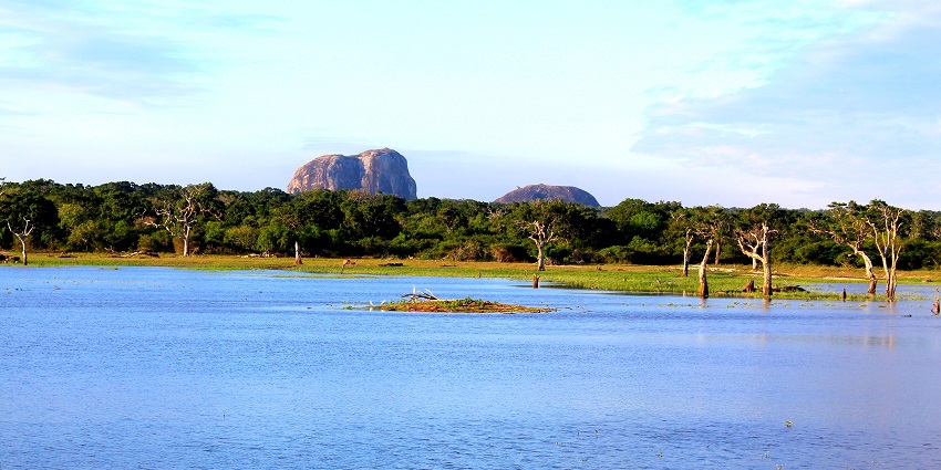 Climb Elephant Rock for breathtaking coastal views, touted as the best in Sri Lanka.