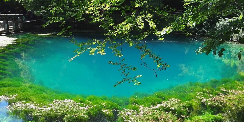 A lagoon with blueish-green waters surrounded by trees, one of the stunning lakes in Belize.