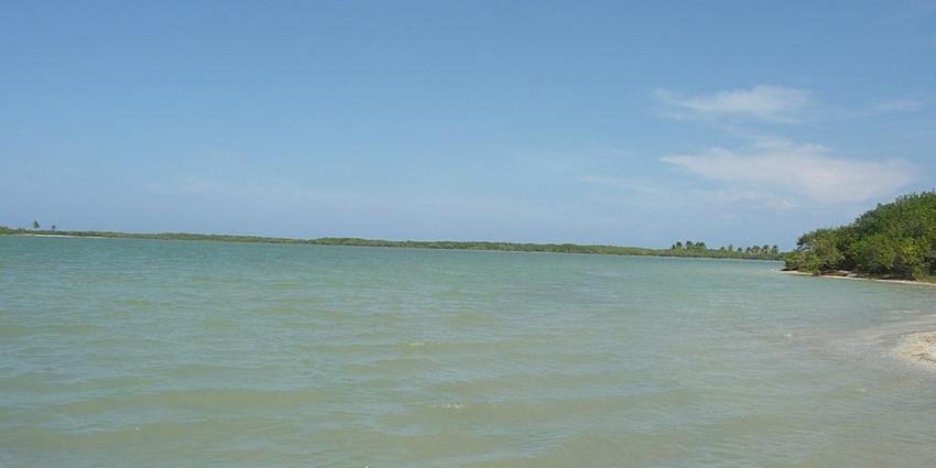 A huge lagoon in Belize showing pristine waters, clear blue sky and trees around it.