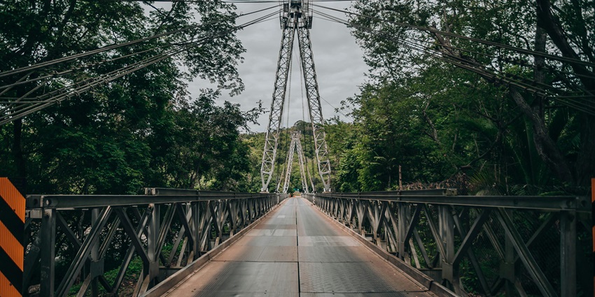 Close up view of the suspension bridge surrounded by lush trees on both sides