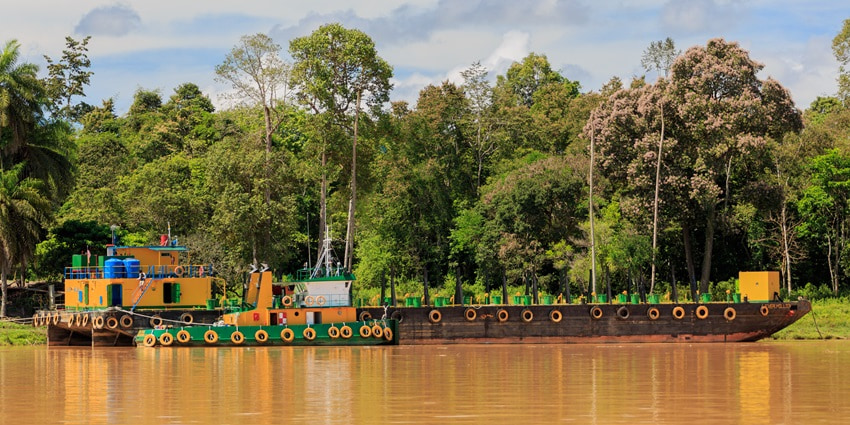A thrilling wildlife experience, offering sightings of proboscis monkeys, pygmy elephants, and crocodiles.