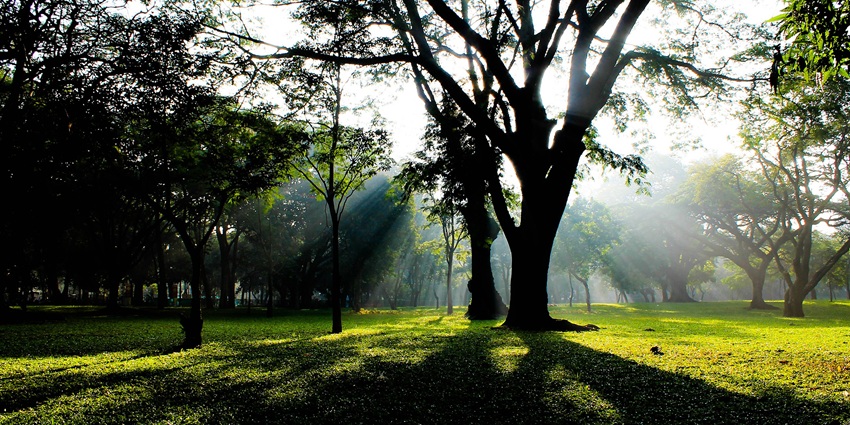 The Cubbon Park, a quaint hotspot near Ulsoor Lake, the biggest lake in Bangalore.